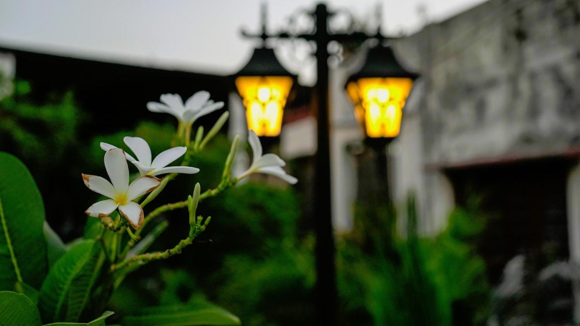 Banaras - A Boutique Hotel Varanasi